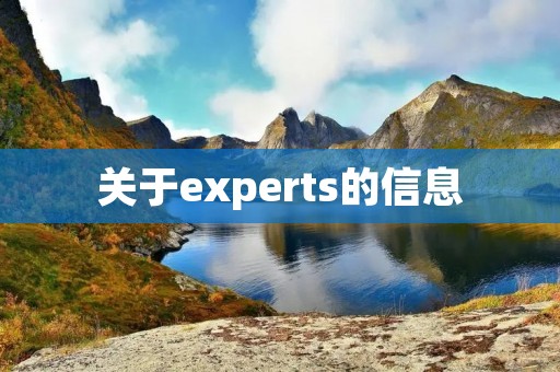 关于experts的信息