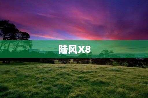 陆风X8:致敬经典,创新未来 陆风X8:致敬经典,创新未来