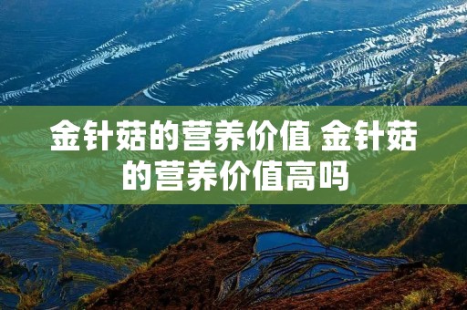 金针菇的营养价值 金针菇的营养价值高吗
