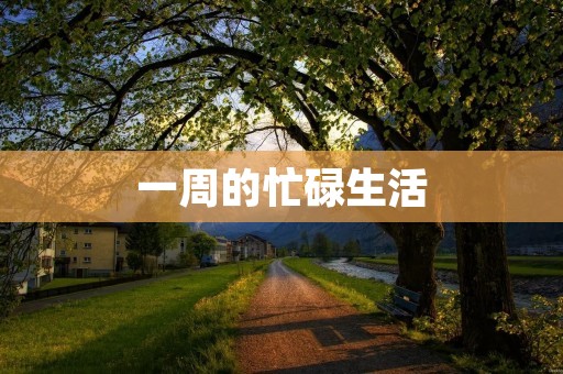 一周的忙碌生活