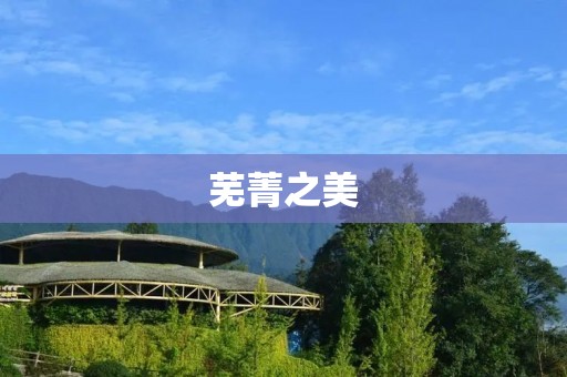 芜菁之美:多样化的芜菁做法 芜菁之美:多样化的芜菁做法