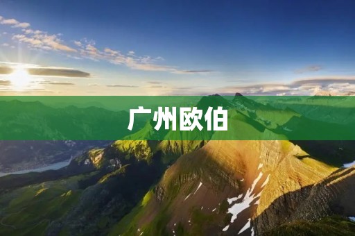 广州欧伯：打造智能物流产业新高地