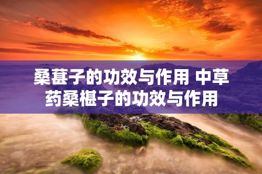 桑葚子的功效与作用 中草药桑椹子的功效与作用