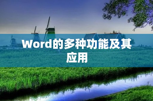 Word的多种功能及其应用