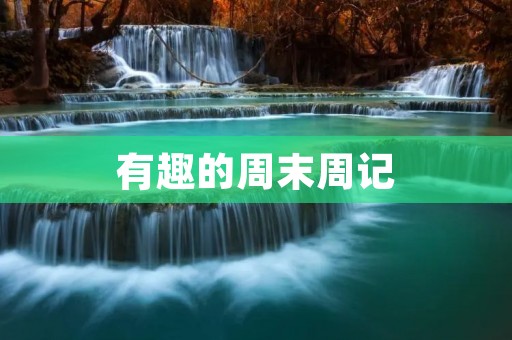 有趣的周末周记