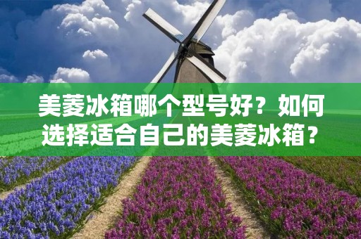 美菱冰箱哪个型号好？如何选择适合自己的美菱冰箱？