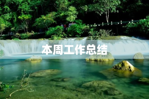 本周工作总结