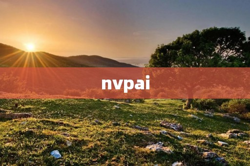 nvpai：打造中国新零售的一大利器