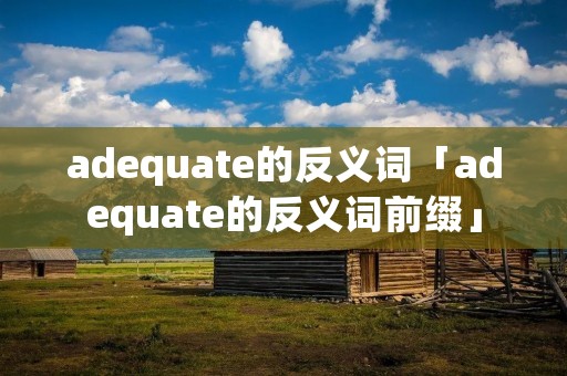 adequate的反义词「adequate的反义词前缀」
