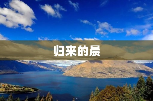 归来的晨:一位中国留学生的美国求学经历 归来的晨:一位中国留学生的美国求学经历
