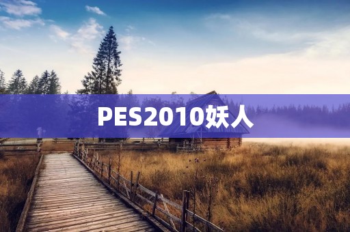PES2010妖人：掌控比赛的终结者