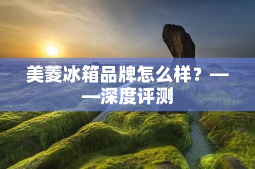 美菱冰箱品牌怎么样?——深度评测 美菱冰箱品牌怎么样?——深度评测