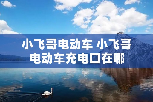 小飞哥电动车 小飞哥电动车充电口在哪