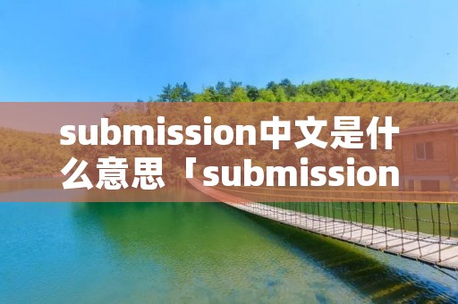 submission中文是什么意思「submission的意思」 submission中文是什么意思「submission的意思」
