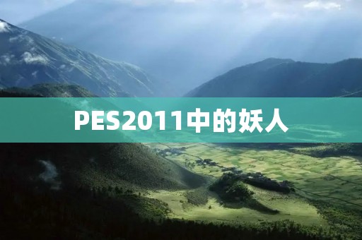 PES2011中的妖人：C罗