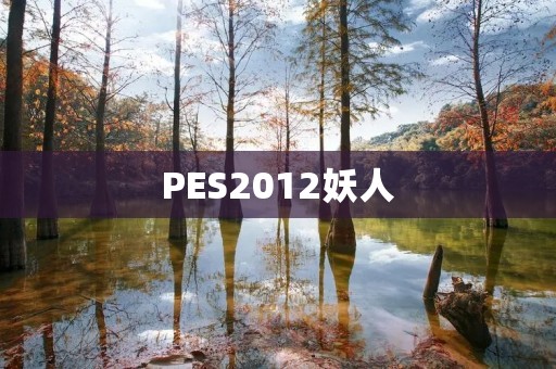 PES2012妖人:独具特色的游戏元素 PES2012妖人:独具特色的游戏元素