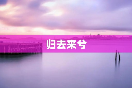 归去来兮：寻找回家的路