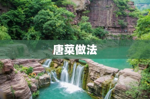 唐菜做法：传统美食的味道