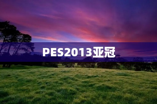 PES2013亚冠：让你享受真实的亚洲足球比赛