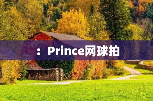 :Prince网球拍:一款专业运动装备的选择 :Prince网球拍:一款专业运动装备的选择