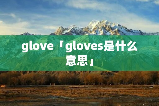 glove「gloves是什么意思」