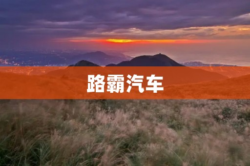 路霸汽车:颠覆传统车型,引领时尚潮流 路霸汽车:颠覆传统车型,引领时尚潮流