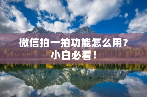 微信拍一拍功能怎么用?小白必看!