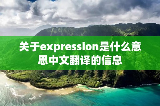 关于expression是什么意思中文翻译的信息