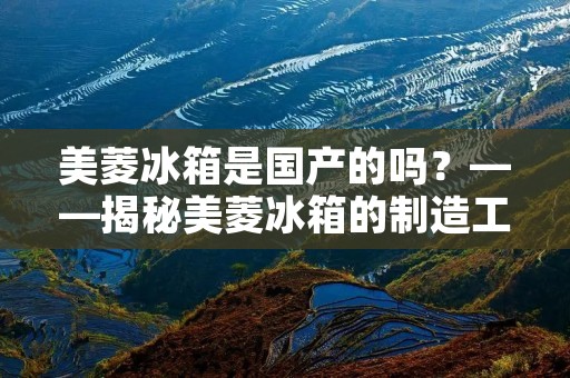 美菱冰箱是国产的吗？——揭秘美菱冰箱的制造工艺及质量