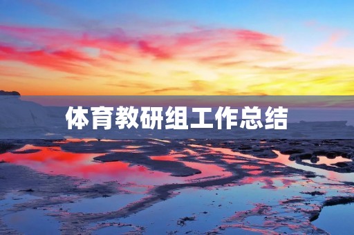 体育教研组工作总结