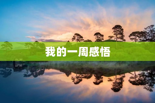 我的一周感悟