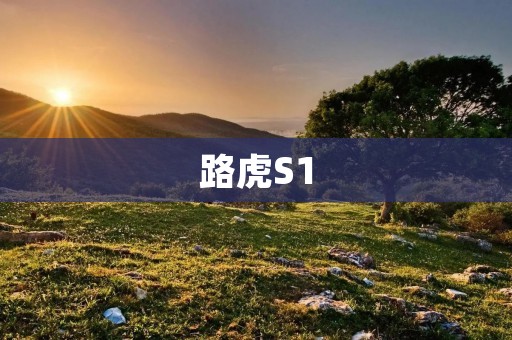 路虎S1：最具实力的豪华SUV