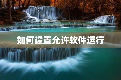 如何设置允许软件运行