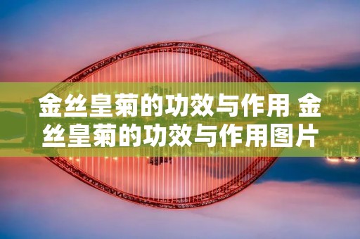 金丝皇菊的功效与作用 金丝皇菊的功效与作用图片
