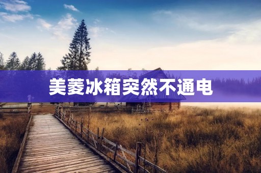 美菱冰箱突然不通电:如何处理 美菱冰箱突然不通电:如何处理