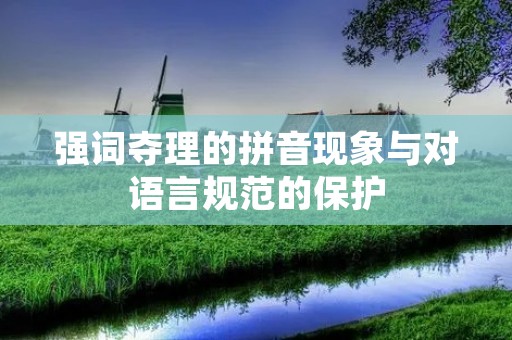 强词夺理的拼音现象与对语言规范的保护