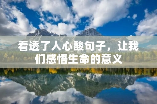 看透了人心酸句子,让我们感悟生命的意义