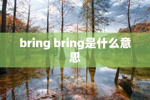 bring bring是什么意思