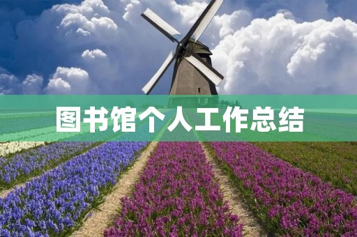 图书馆个人工作总结