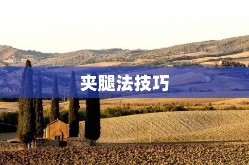 夹腿法技巧：让你在床上更加出色