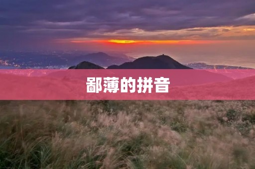 鄙薄的拼音:汉字文化的痛点