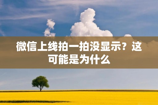 微信上线拍一拍没显示?这可能是为什么