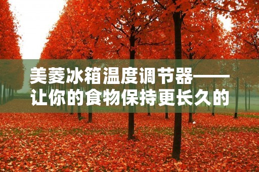 美菱冰箱温度调节器——让你的食物保持更长久的新鲜度