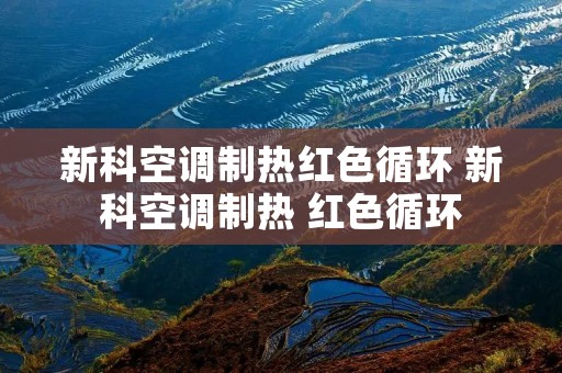 新科空调制热红色循环 新科空调制热 红色循环