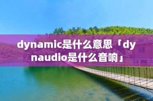 dynamic是什么意思「dynaudio是什么音响」