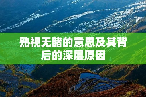 熟视无睹的意思及其背后的深层原因
