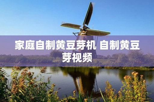 家庭自制黄豆芽机 自制黄豆芽视频
