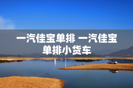 一汽佳宝单排 一汽佳宝单排小货车 一汽佳宝单排 一汽佳宝单排小货车