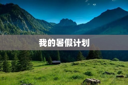 我的暑假计划 我的暑假计划