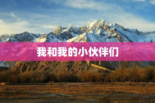 我和我的小伙伴们 我和我的小伙伴们